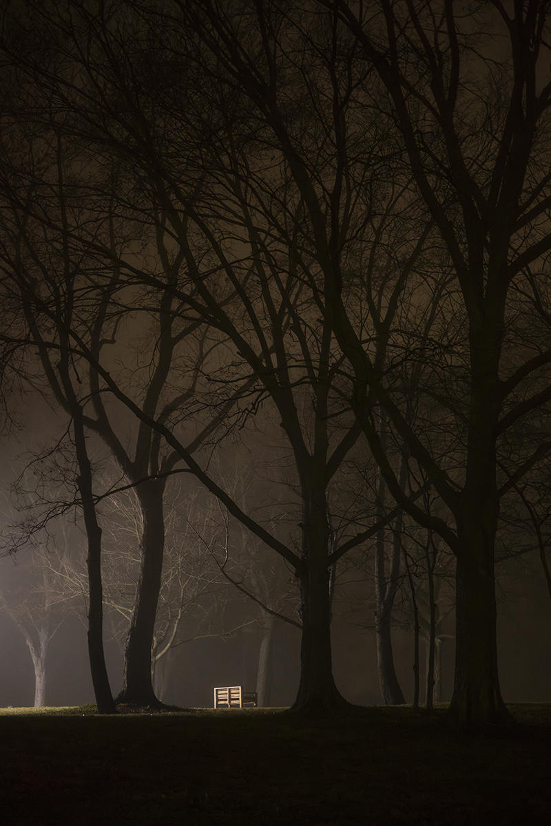 Bench in fog. 8x12