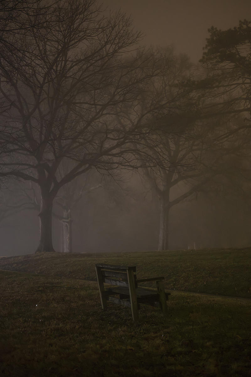 Bench in fog. 8x12